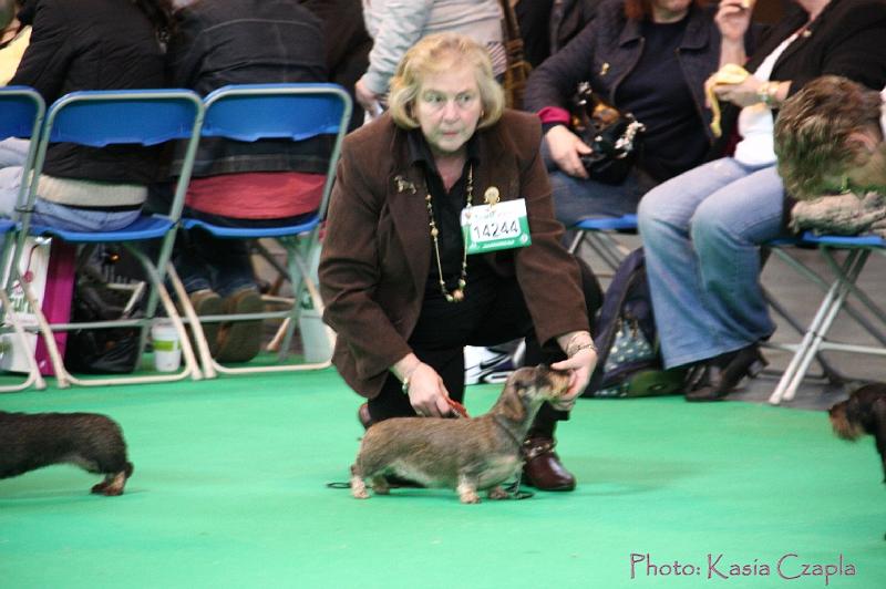 Crufts2011_2 1285.jpg